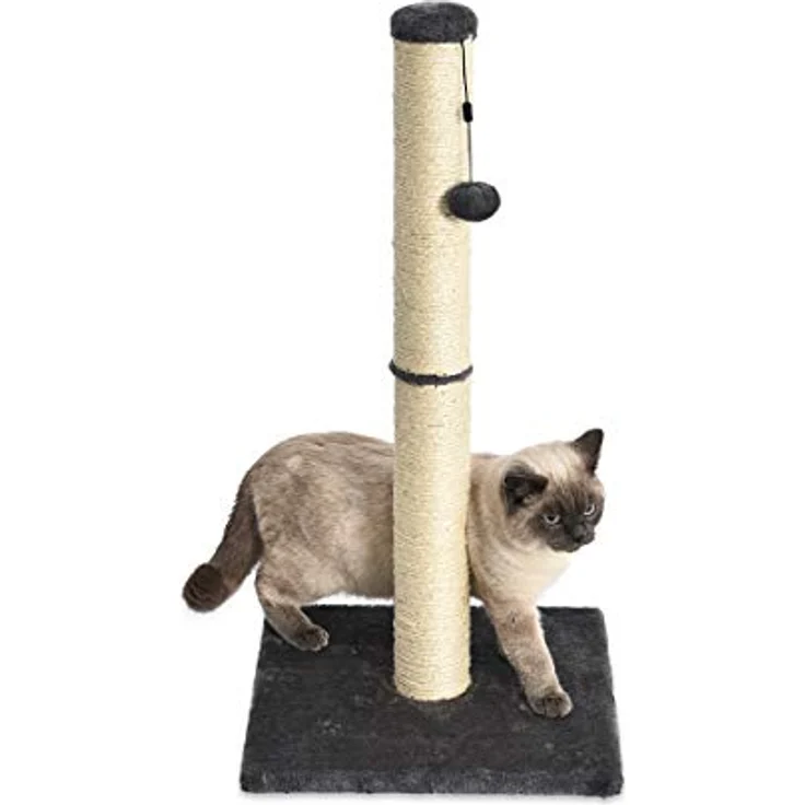 Amazon Basics – Mittelgroßer Katzen-Kratzbaum, 41 x 41 x 81 cm, grau – Bild 1