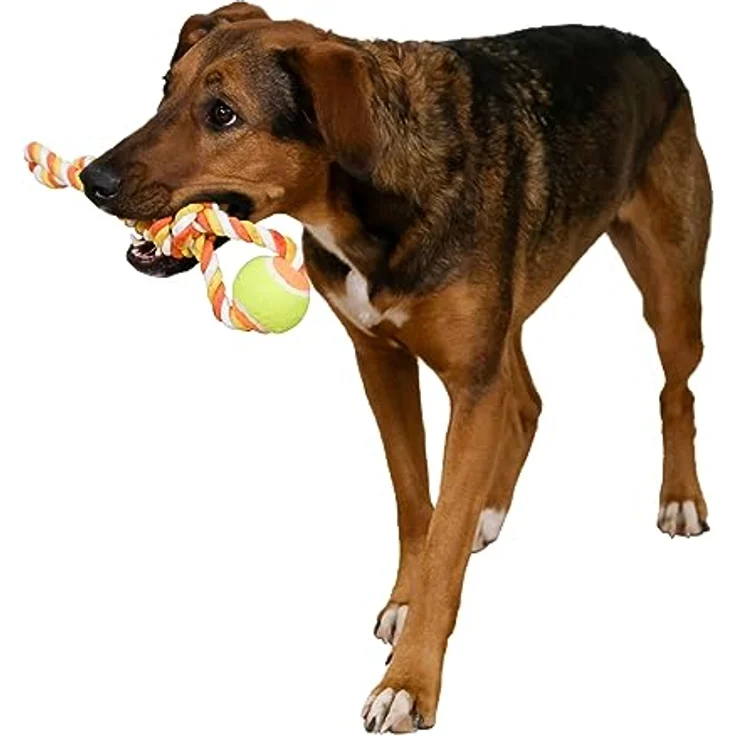 Kerbl Pet Ball am Tau 37cm, orange Baumwolle – Bild 2