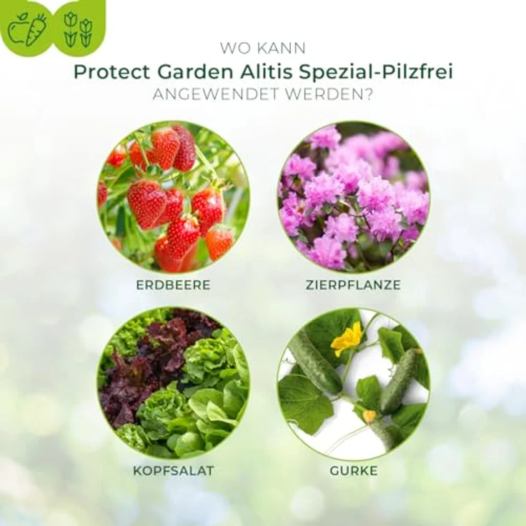 PG Spezial-Pilzfrei Aliette 4x10 g – Bild 4