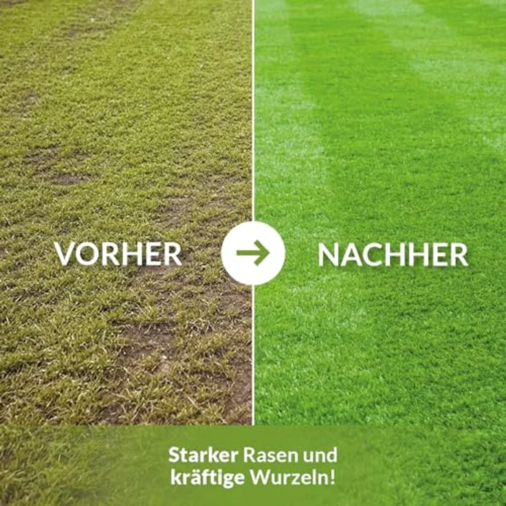 TerraDomi Herbstrasendünger mit Kalium 25 kg für 1000m² I Wurzelstärkung und Pflanzenkräftigung – Bild 5