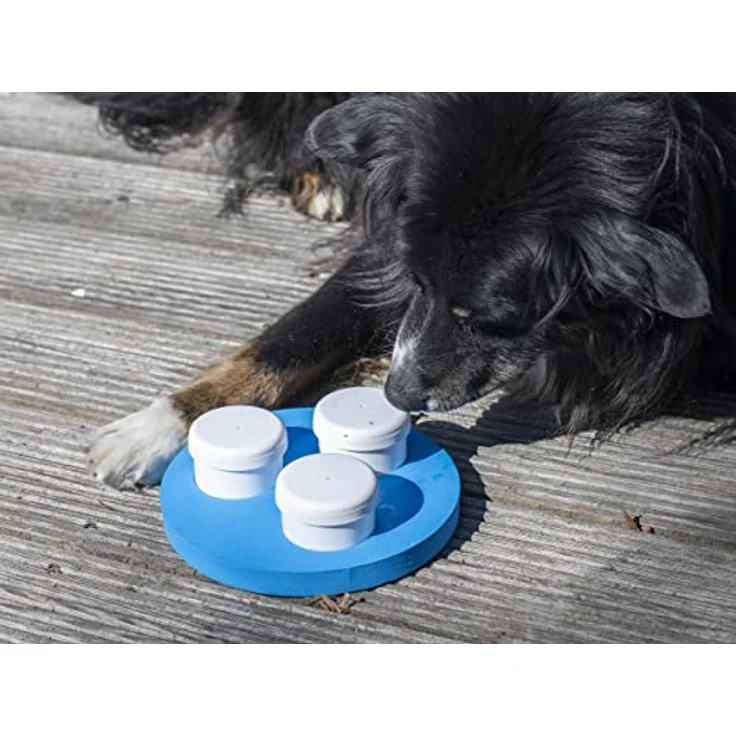 Schnüffelset für Hunde mit DREI Dosen und Klicker, Geruchssinn, Hundetraining – Bild 5