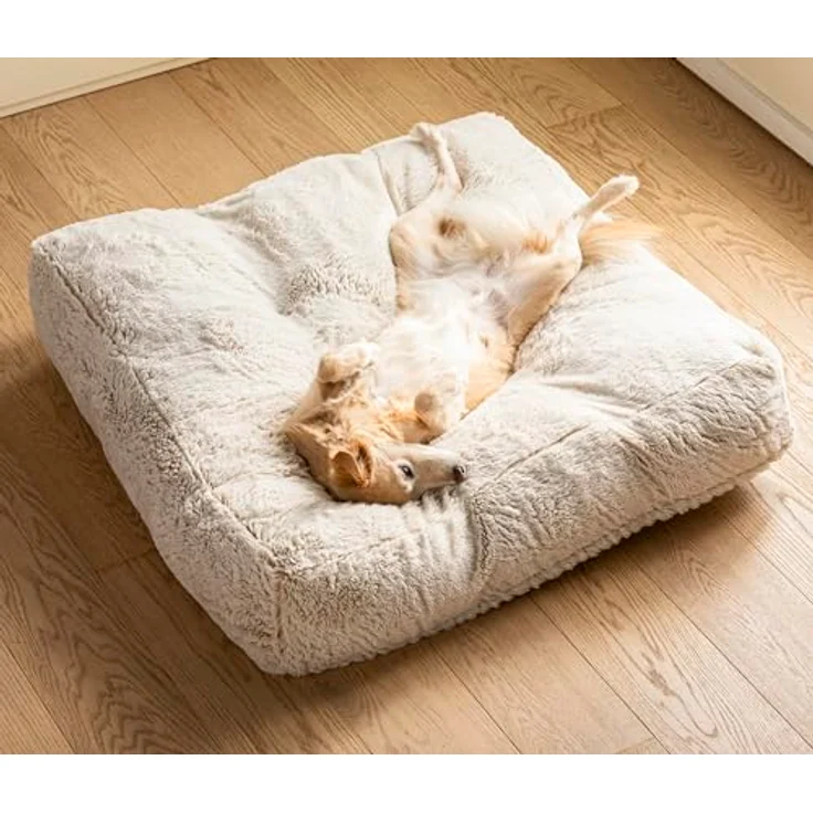 Dehner Lieblinge Kuschelkissen Chichi, Hundekissen/Katzenkissen flauschig, ca. 90 x 90 x 20 cm, Größe L, Polyster/Polypropylen, weiß – Bild 4