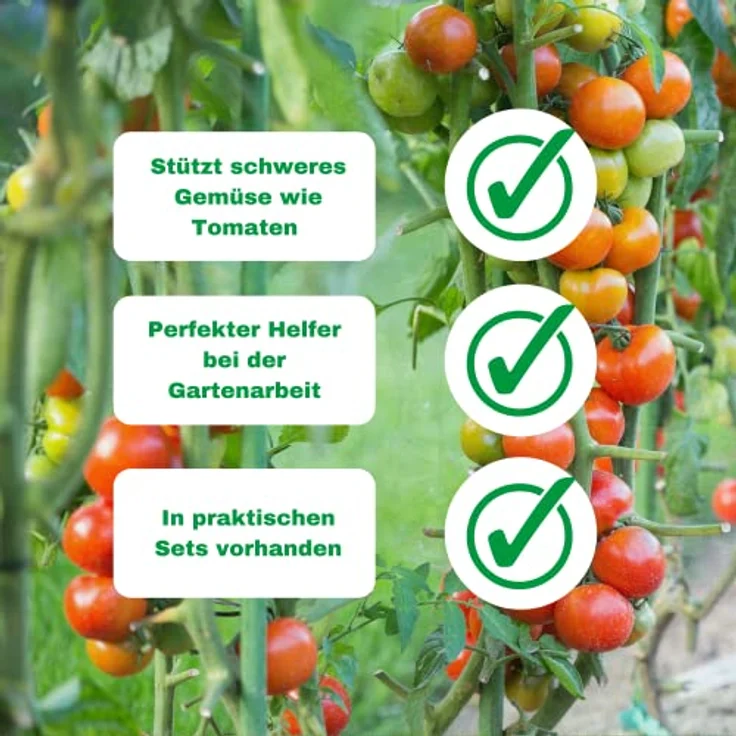 Novatool Rankhilfe, 10 Pflanzstäbe 120 cm, grün, wetterfest, korrosionsbeständig, optimal für Kletterpflanzen – Bild 5