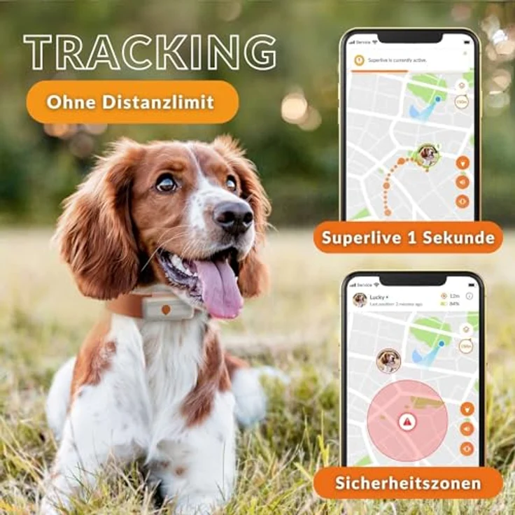 Weenect XS für Hunde - NEU Mini GPS-Tracker für Hunde | GPS-Tracking in Echtzeit | Kleinstes Modell auf dem Markt | Abonnement | Wasserdicht – Bild 4
