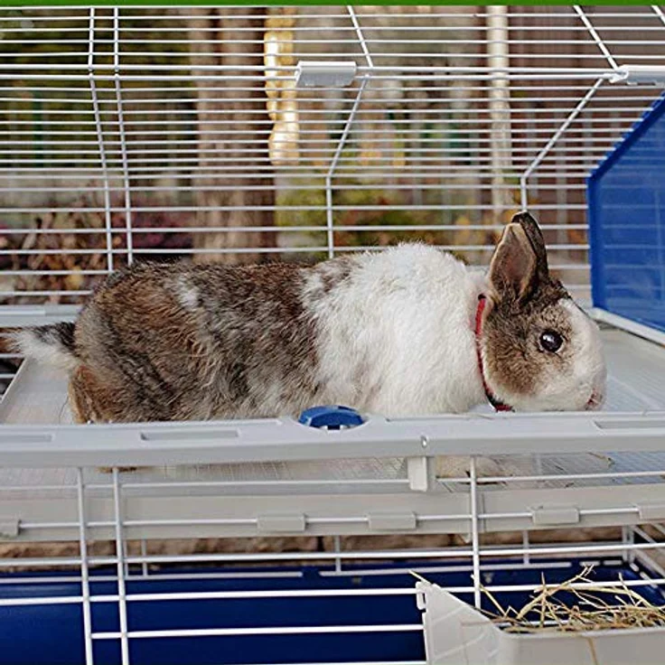 Ferplast Hasenheim für Kleintiere und Hasen, BARN 120, 2 Etagen, Dach zum Öffnen, Zubehör und Aufkleber Inklusive – Bild 3