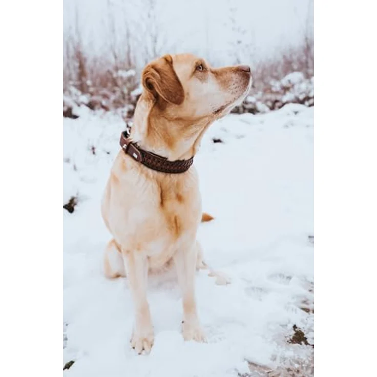 HUNTER 67236 HB Solid Education, 146 g, M – Bild 4