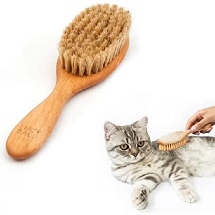 LucyBalu® Katzenbürste für Kurzhaar & Langhaar | Fellbürste für Katzen| Katzenkamm zur Fellpflege von Katzen | Tierhaarbürste für Katzen| Katzenhaarbürste mit Naturborsten & Holzgriff | geölt – Bild 1