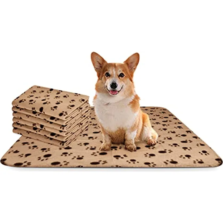 Nobleza - 6 x Hundedecke Weiche Fleecedecke Waschbare Deck für Haustier Hunde Katzen Welpen Weiche Warme Matte, Beige, 75 * 75cm