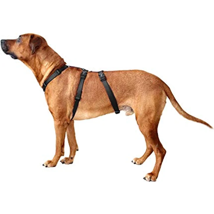 Wolters Professional No Escape, ausbruchsicheres Hundegeschirr für Hunde, graphite, 70-100 cm – Bild 2