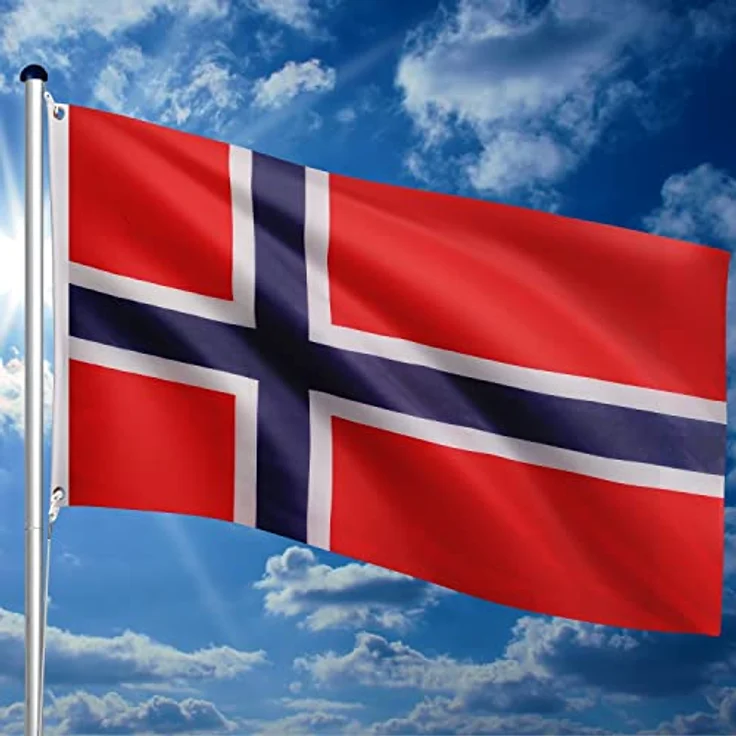 FLAGMASTER Teleskop Fahnenmast Aluminium 6,50m, 5-fach höhenverstellbar, Komplettset mit 30 verschiedenen Fahnen und Bodenhülse – Bild 4