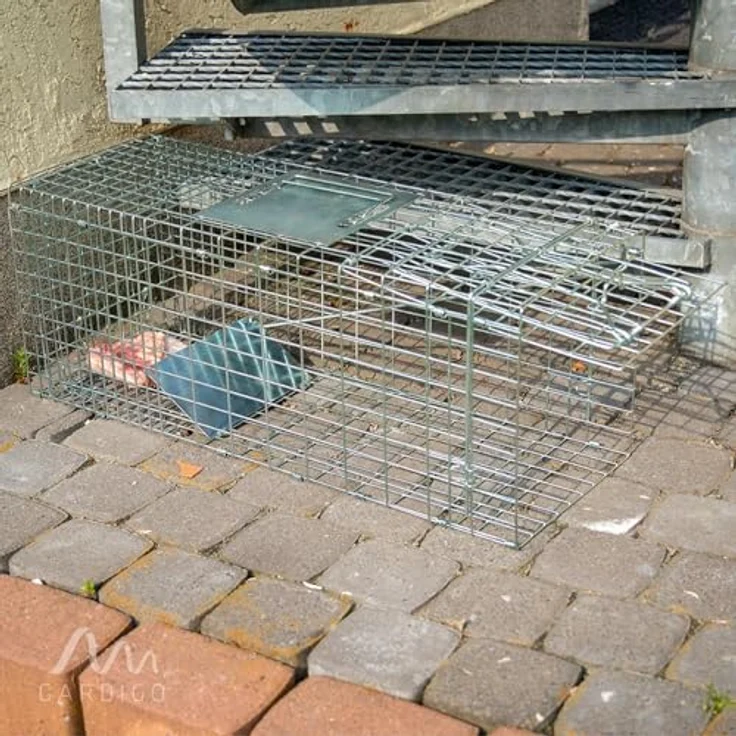 GARDIGO Katzen-Marder-Lebendfalle – Bild 6