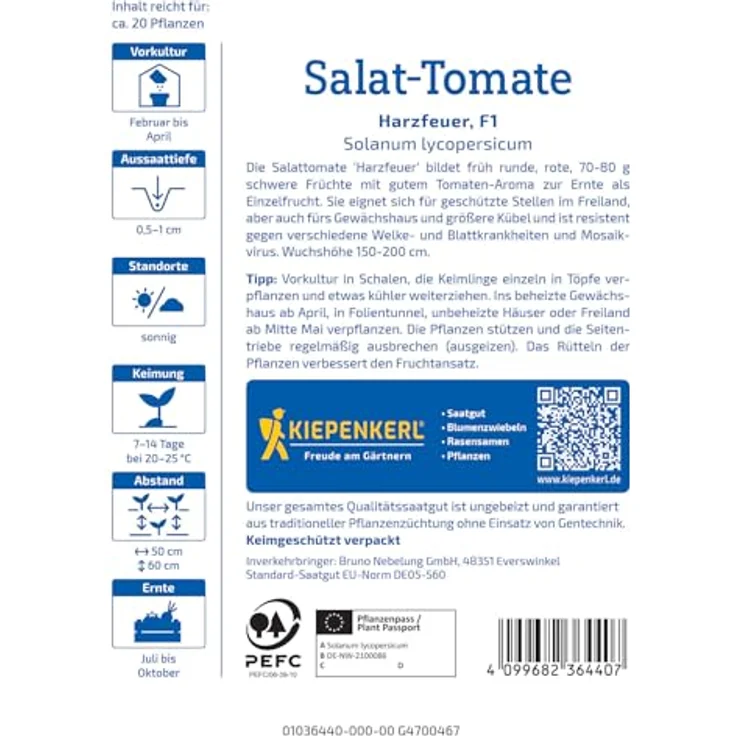 Kiepenkerl Profi-Line Tomaten Harzfeuer F1-Hybride, rote Salat-Tomate mit intensivem Aroma, resistent gegen Krankheiten, für Freiland und Gewächshaus – Bild 2