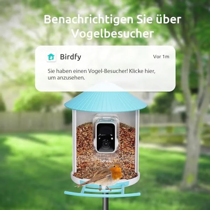 NETVUE Birdfy Vogelhaus mit Kamera, Vogelfutterstation, Futterstationen für Wildvögel, Vogelfutterhaus mit 1080P Kamera Video Aufnehmen, Vogelfutterspender Kamera Vögel Erkennung (Birdfy Lite+Solar) - Preisvergleich – Bild 2