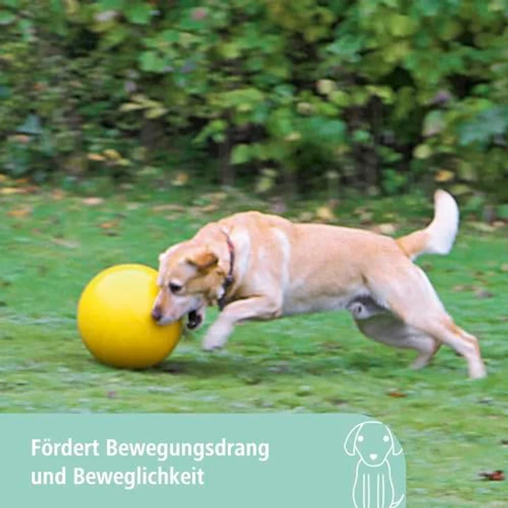 Kerbl Hundespielball Ø 30 cm – Bild 4
