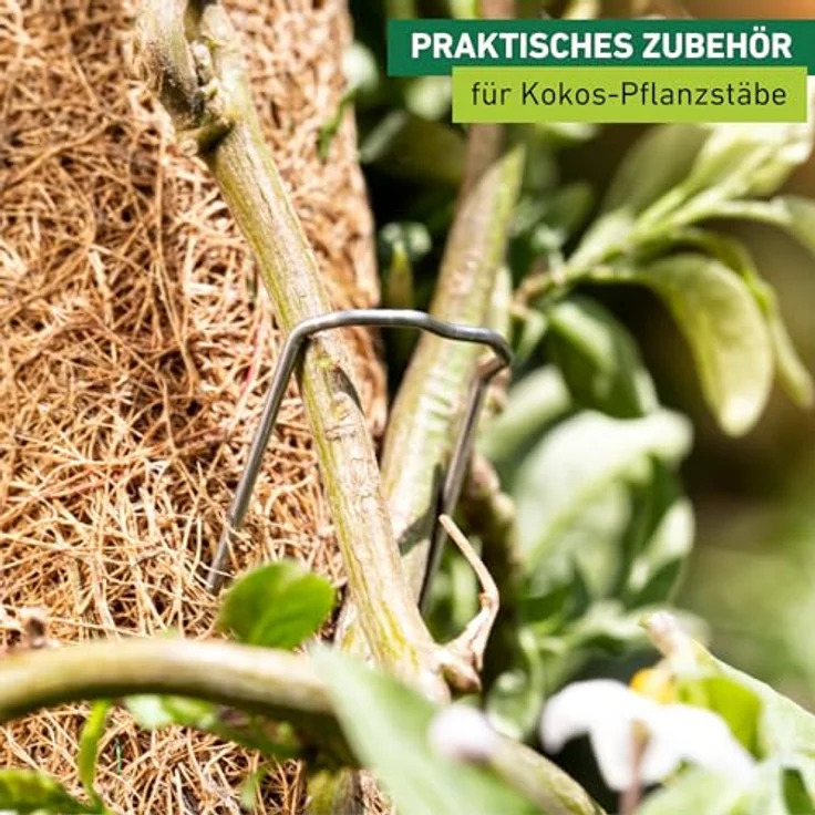 Windhager Pflanzenstecker für die Befestigung von Pflanzentrieben an Kokos-Pflanzstäben, Schwarz, 50 Stück, 06194 metallic – Bild 2