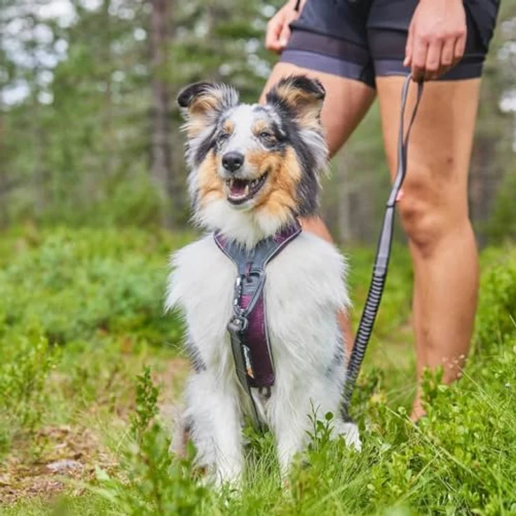 Non-stop dogwear Line Harness 5.0, Gepolstertes Hundegeschirr für kleine, mittlere und große Hunde, ergonomisch, reflektierend, Größe 8 – Bild 2
