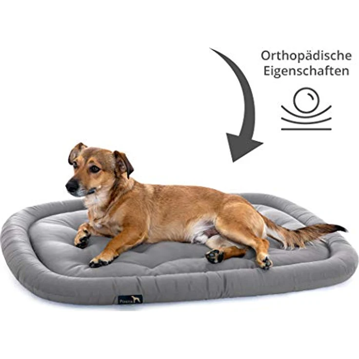 Pointer | Hundekissen waschbar, orthopädisches Hundebett für kleinere Hunde (M - 70x50 cm, Hellgrau) – Bild 4