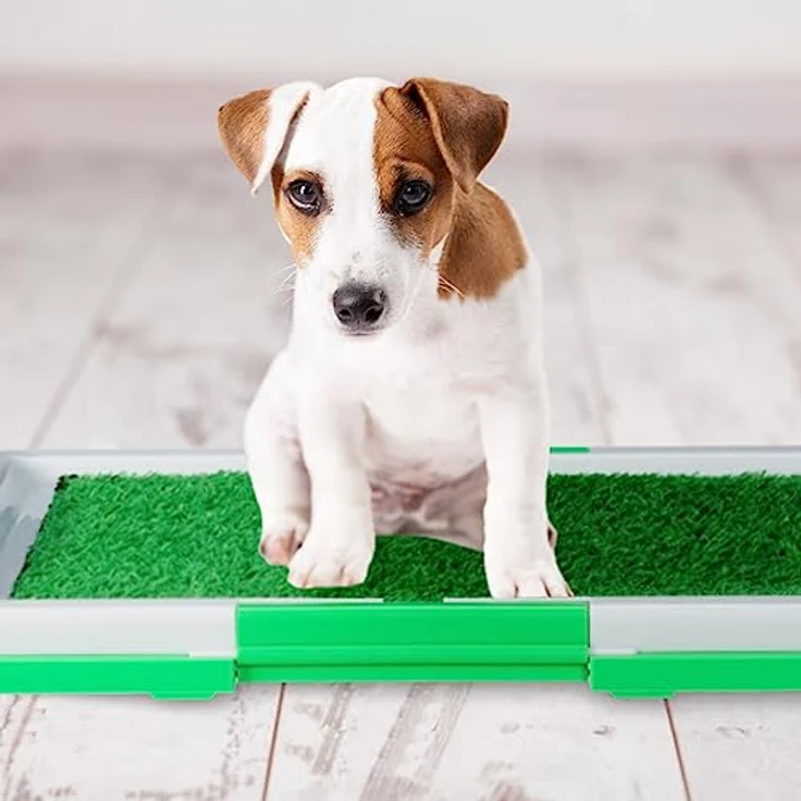 relaxdays Hundetoilette Hundeklo mit Rasen, Stubenreinigung für Welpen, kranke und alte Hunde, Grün, Weiß – Bild 3