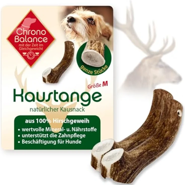 ChronoBalance® M (2er Set) Geweih-Kaustange für Hunde ganze Stücke als Kauspielzeug: 100% Hirschgeweih Hundespielzeug, Zahnpflege, Kausnack, Kauknochen, ohne Zusätze – Bild 1