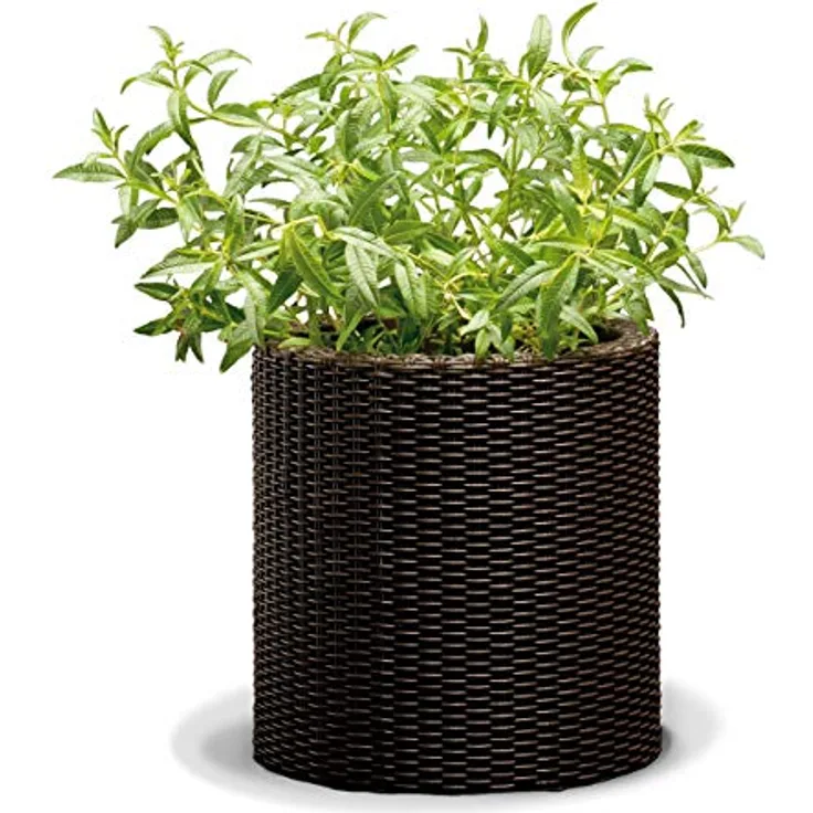 Keter Curver Garten Pflanzentopf, mittelgroß mit rundem Boden, schokoladenbraun, elegantes Rattan-Finish, Drainagelöcher für optimale Bewässerung