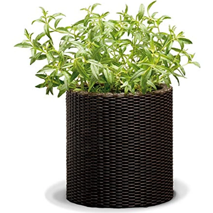 Keter Curver Garten Pflanzentopf, mittelgroß mit rundem Boden, schokoladenbraun, elegantes Rattan-Finish, Drainagelöcher für optimale Bewässerung – Bild 1