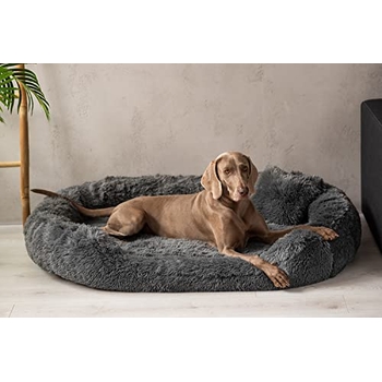 Tierlando Orthopädisches Hundebett 'Pamela' – Shaggy Plüsch, Ovale Form, Mit Herausnehmbarer Matratze, 175x115 Cm, Beige