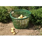 Floraworld Gartenkorb 31 l