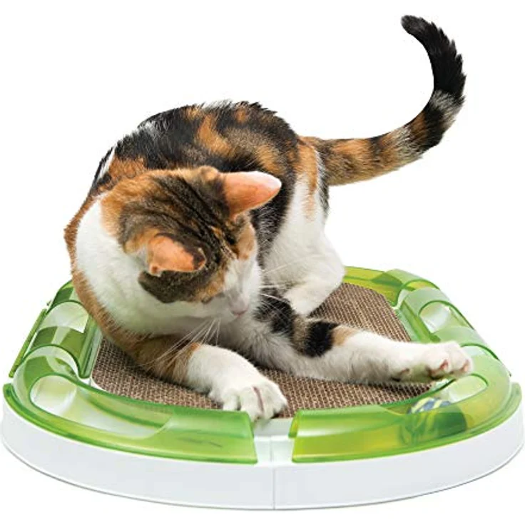 Catit ovaler Scratcher, Kratzbrett aus Pappe, interaktives Spielzeug für Katzen, Kratzspielzeug für Katzen – Bild 4