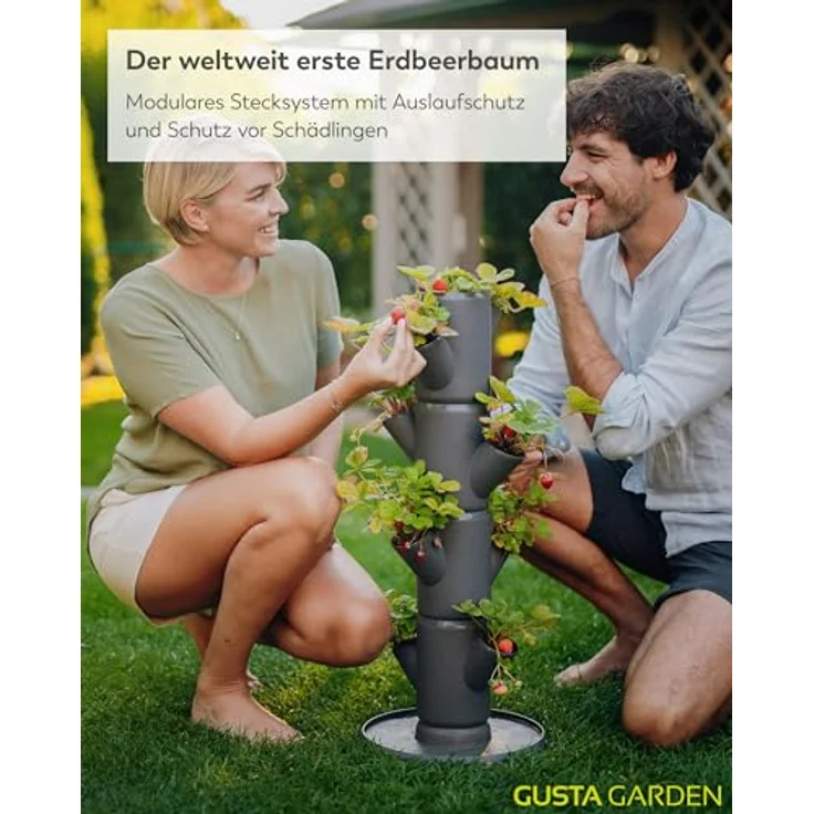 Gusta Garden SISSI STRAWBERRY Erdbeerbaum Starter Anthrazit - Vertikales Pflanzsystem für gesunde Erdbeeren – Bild 2