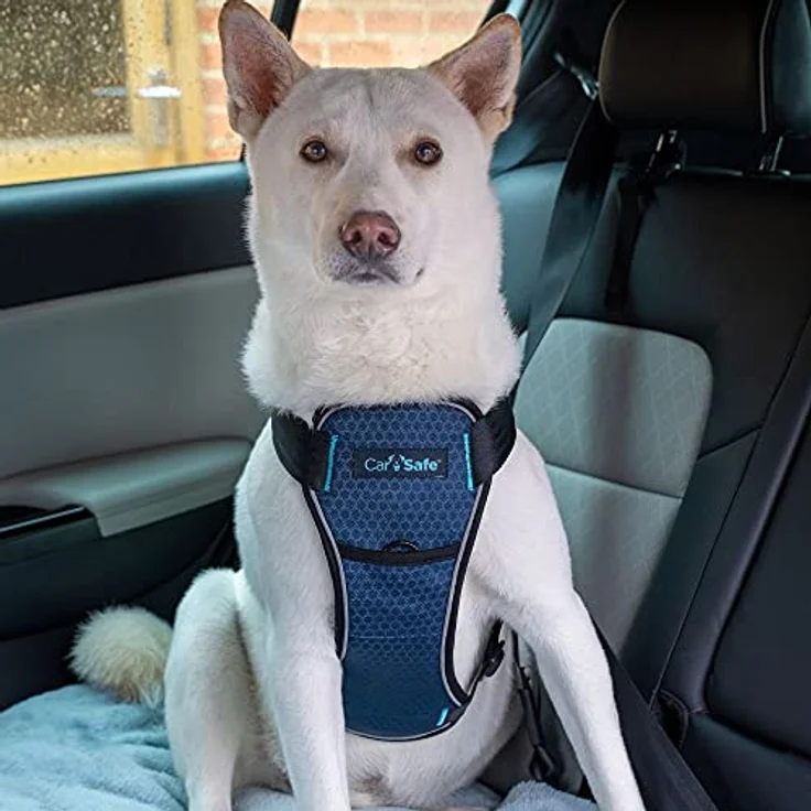 Company of Animals CarSafe Crash-getestetes Hunde Sicherheitsgeschirr, Crashtest-geprüft bis zu 32 kg / 70 lbs, komfortables und gepolstertes Design, reflektierend, Größe M, für mittelgroße Hunde (schwarz) – Bild 2