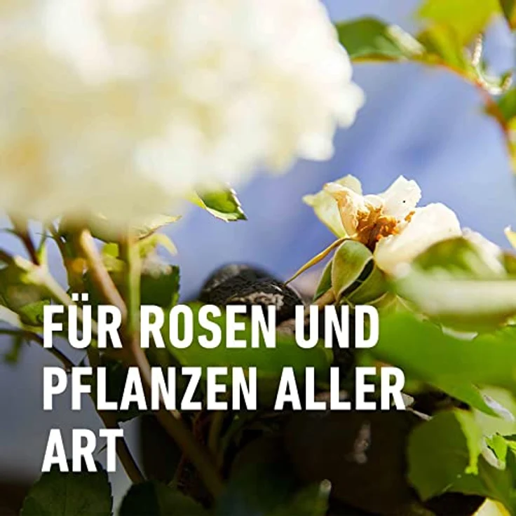 COMPO® BIO Pferdedung, 12 kg – Bild 3