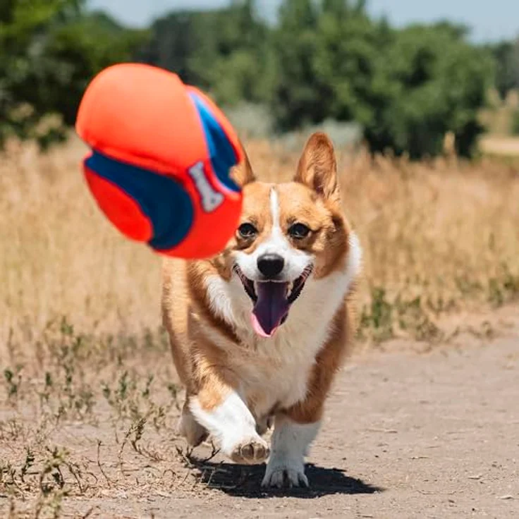 Chuckit Fumble Fetch, Outdoor-Spielzeug für Hunde, Rugby-Format 22 x 12 cm, klein – Bild 6