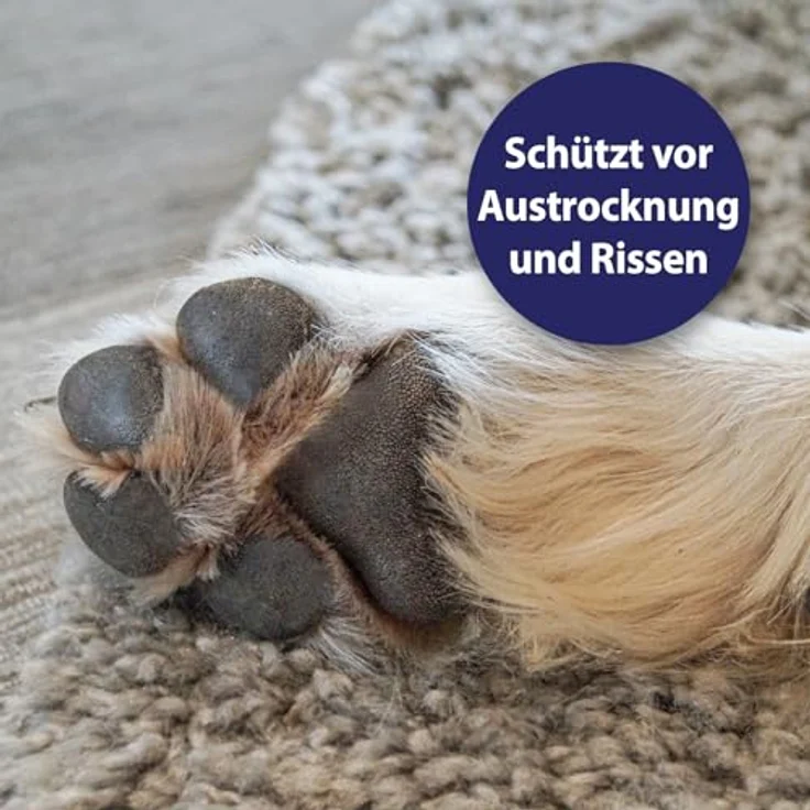 Canosept Pfotenpflege, 75 g intensive Pflegecreme für Hundepfoten, schnell einziehend, von Tierärzten empfohlen – Bild 3