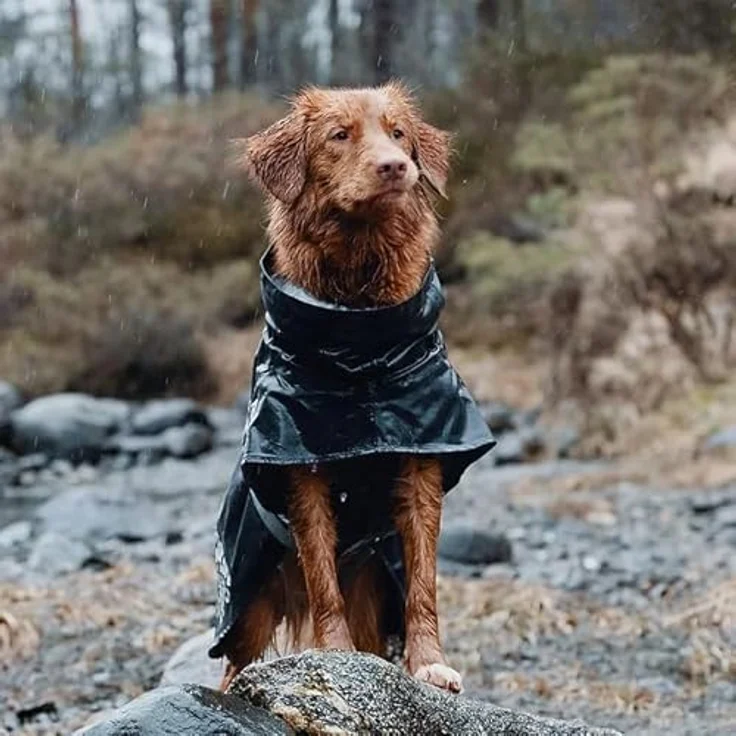 Hurtta Monsoon Hunderegenmantel, Wasserdicht Regenjacke für Hunde mit Reflektoren, Schwarz 45 cm – Bild 2