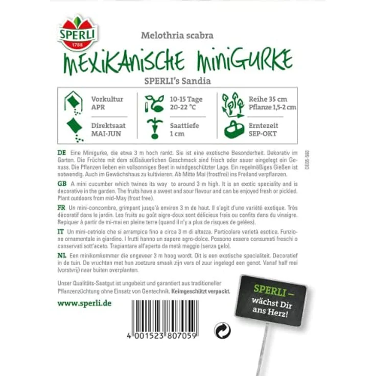 Sperli Mexikanische Minigurke SPERLING?s Sandia – Bild 3