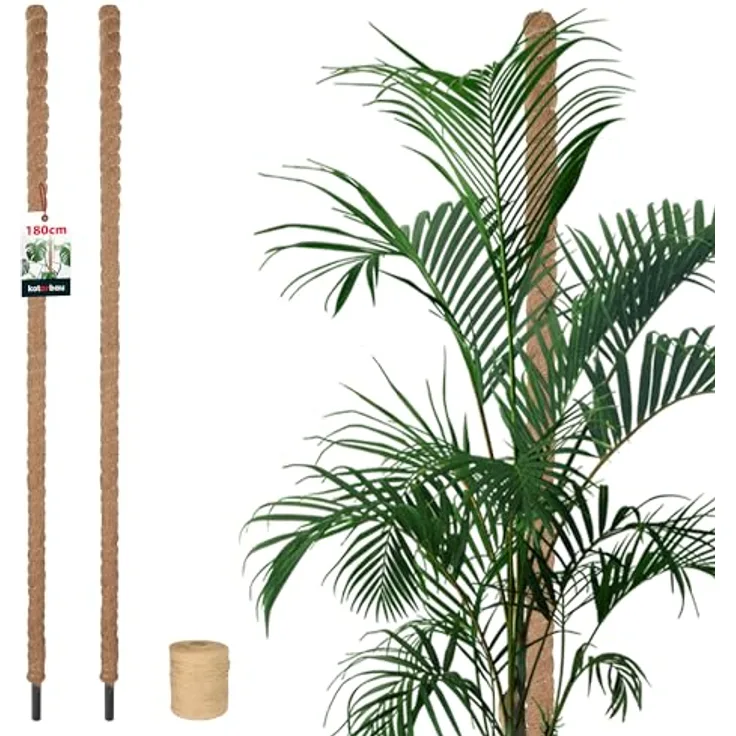 KOTARBAU® Moosstab für Monstera Kokos Natural, 2er Set Rankhilfe ⌀3,2 x 180cm aus Kokosfasern, stabil und dekorativ