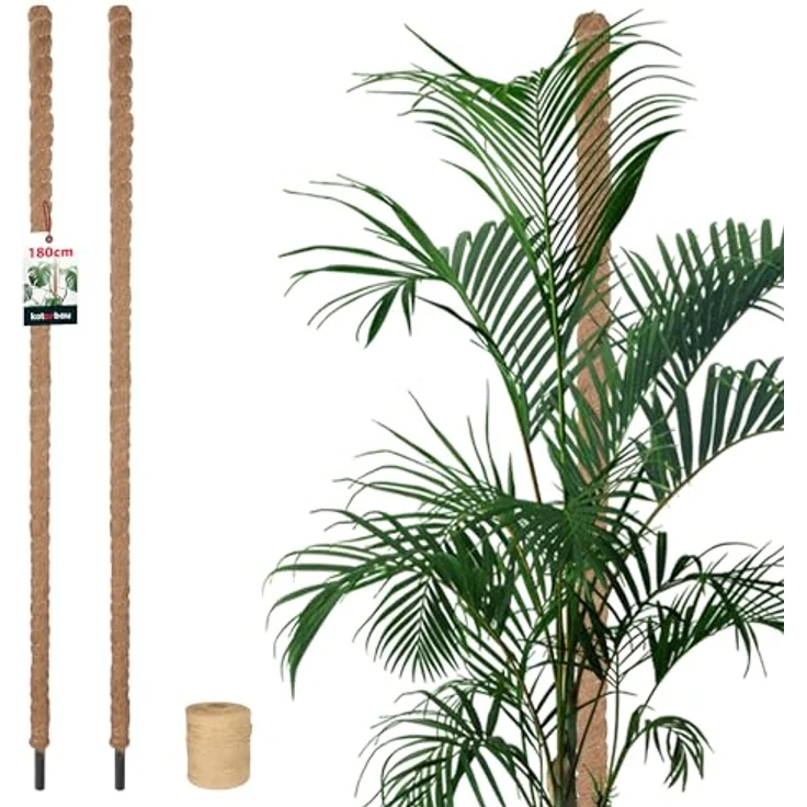 KOTARBAU® Moosstab für Monstera Kokos Natural, 2er Set Rankhilfe ⌀3,2 x 180cm aus Kokosfasern, stabil und dekorativ – Bild 1