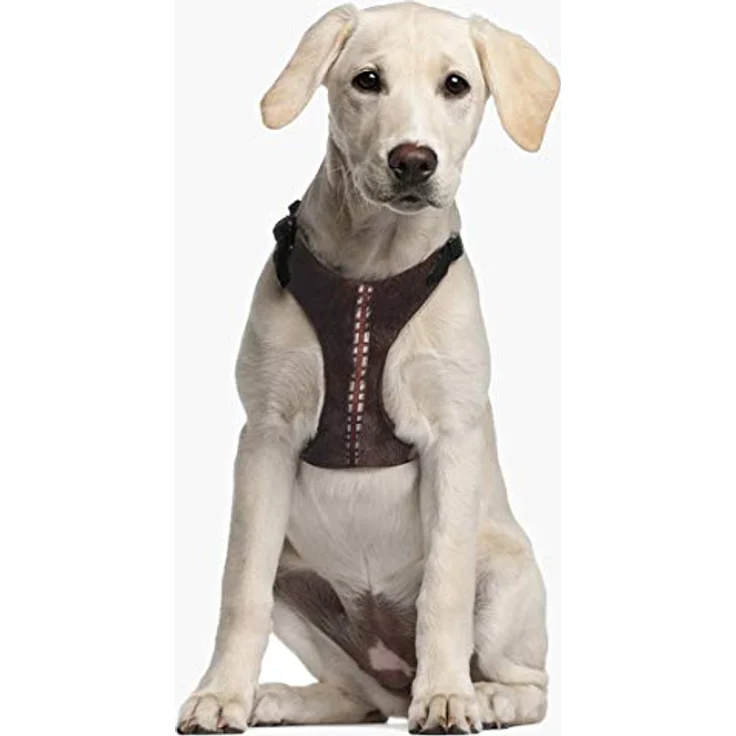 CERDÁ LIFE'S LITTLE MOMENTS Original S.W.A.T. ARNÉS para Perros XXS/XS, Hundegeschirr im Star Wars Chewbacca-Design – Bild 3