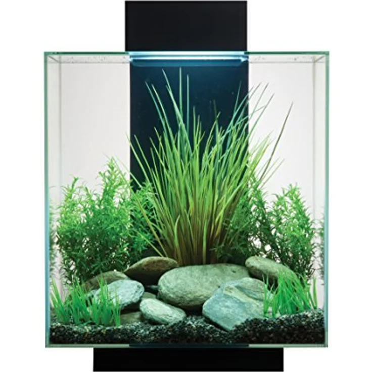 Fluval Edge 2.0 Aquarium, 46L, schwarz, 1 Stück (1er Pack) – Bild 3