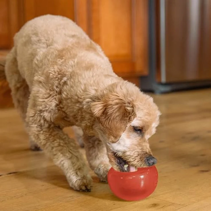 Outward Hound Lil' Snoop, Interaktives Snack-spielzeug für kleine Hunde, robustes und schadstofffreies Material, mintduftend, rot – Bild 2