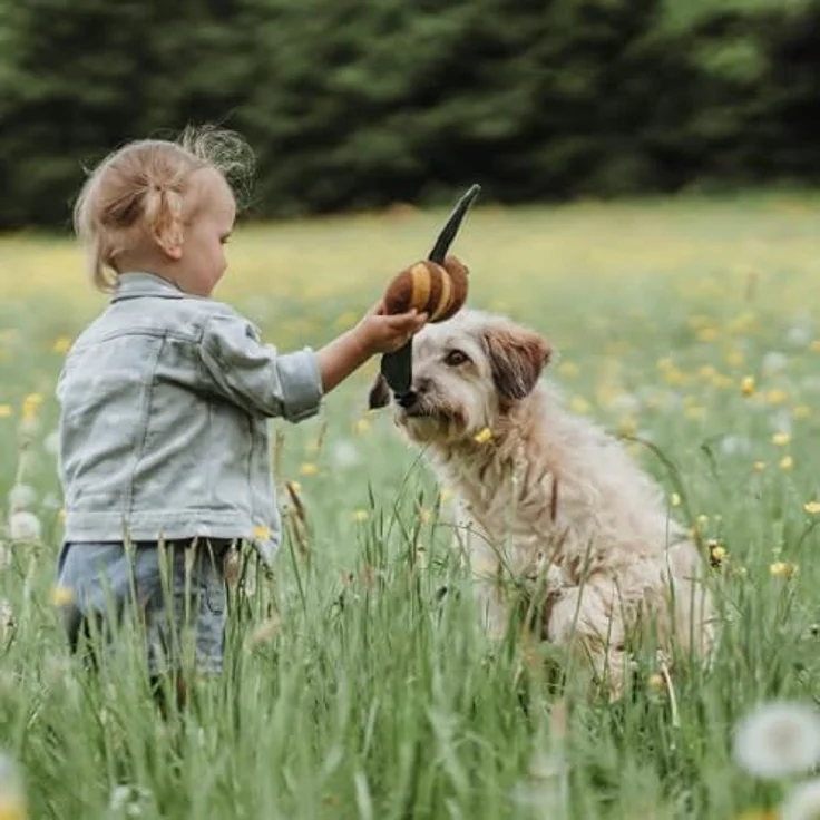 HUNTER Hundespielzeug Florenz Farbe Biene, Größe 29 cm – Bild 3