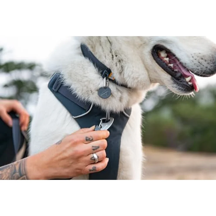 Ruffwear Front Range-Halsband, Hundehalsband mit V-Ring, längenverstellbares Haustier-Hundehalsband, bequemer weicher Stoff, Haustierhalsband mit Hundeleinen-Befestigungsring, Spring Fade 11"-14" – Bild 4