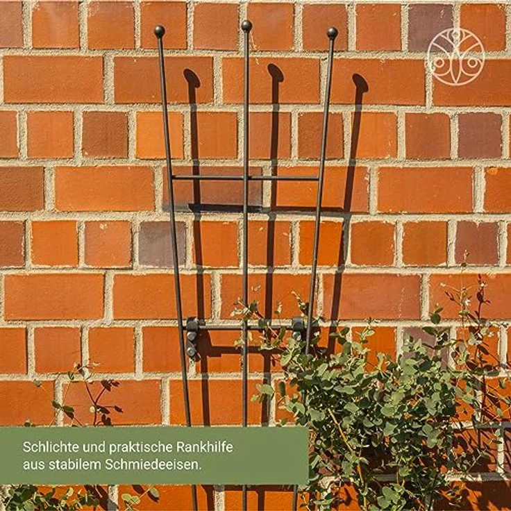 ELEO Rankgitter Bari klein anthrazit schwarz - fächerförmig 170x42 cm wetterfest pulverbeschichtet - Spalier aus Metall massiv stabil - mit Wandhalterung – Bild 3