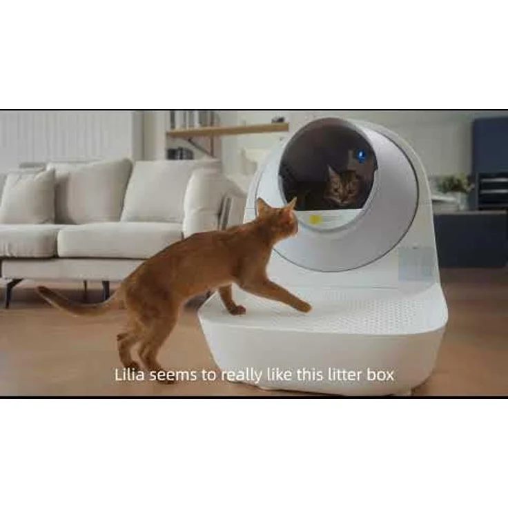 Catlink Intelligente selbstreinigende Katzentoilette Pro-X Luxury Version (Selbstreinigendes Katzenklo), Katzenklo – Bild 2