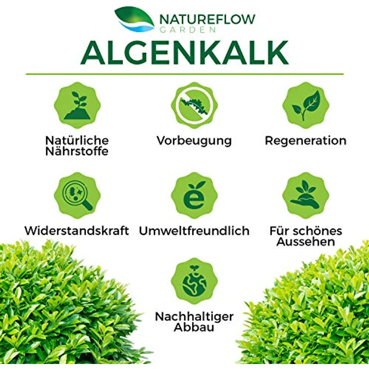 NATUREFLOW TESTSIEGER Bio Algenkalk für Buchsbäume – 100% reines Lithothamnium Calcareum, 2,5kg, für Widerstandskraft und Regeneration – Bild 4