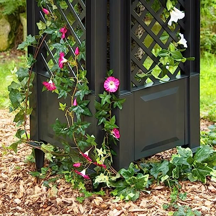 NYVI Spalier mit Erdspießen NYVIGreen 140x43 cm 2er Set - Rankgitter aus wetterfestem & recyceltem Kunststoff - Rankhilfe - Pflegeleicht, Steckmontage ohne Werkzeug, Farbe:Anthrazit – Bild 5