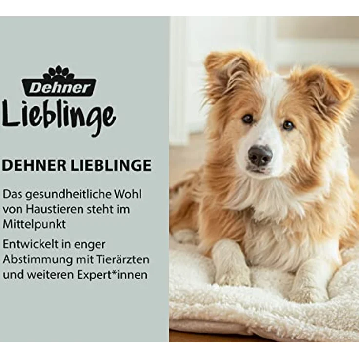 Dehner Lieblinge Hunde- und Katzenfellpflege, 2 in 1 Zupfbürste, ca. 23.5 x 7 cm, Bambus/Kunststoff/Naturmaterial, braun – Bild 3