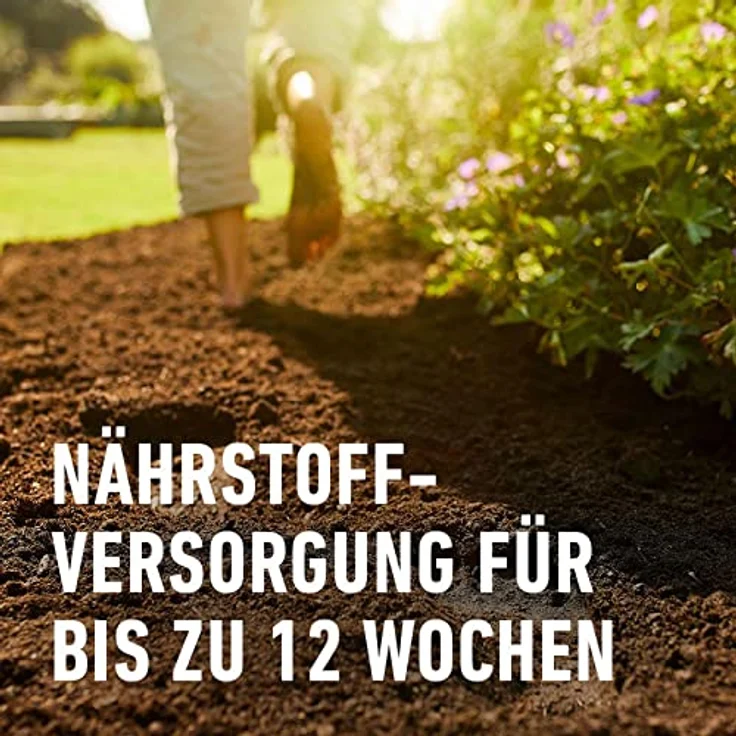 COMPO Sana Qualitäts-Blumenerde 70 Liter – Bild 4