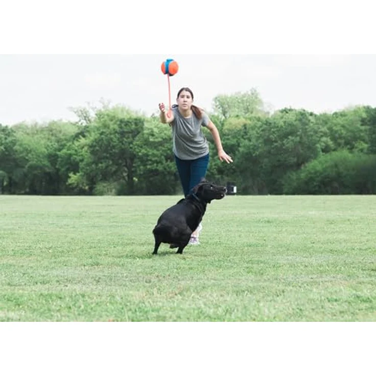 Chuckit! CH 32220 Rope Fetch – Bild 4