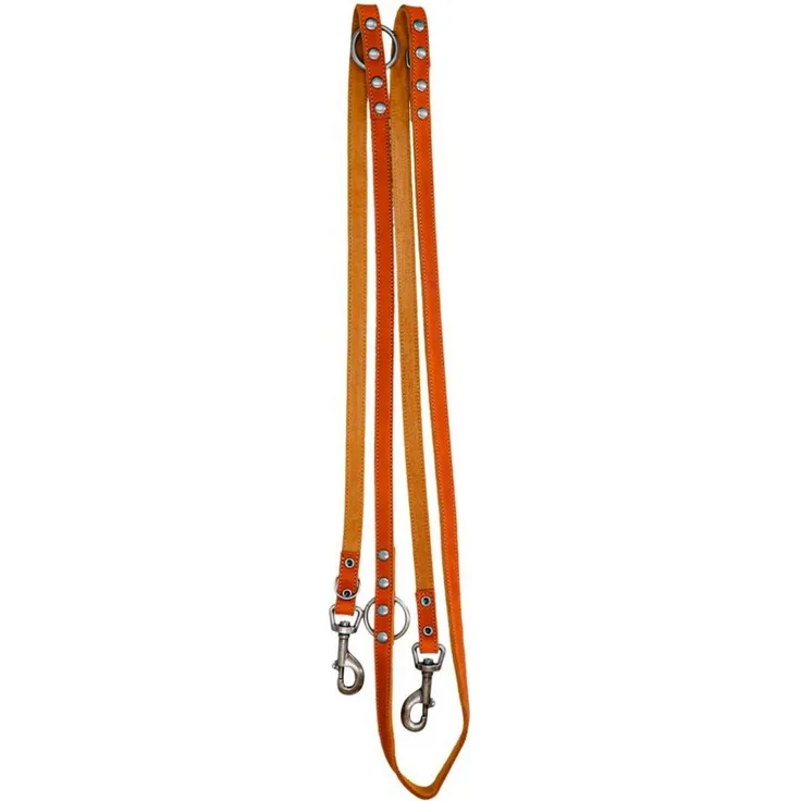 Spotted! Pro Hundeleine Leder Trainingsleine Cognac, 2x250cm, langlebig und flexibel für Training und Alltag